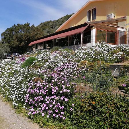 Il Lentischio Hotel Cala Sapone Eksteriør billede