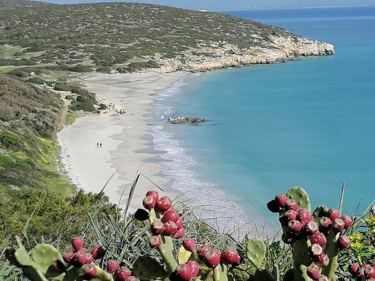 Il Lentischio Hotel Cala Sapone Eksteriør billede