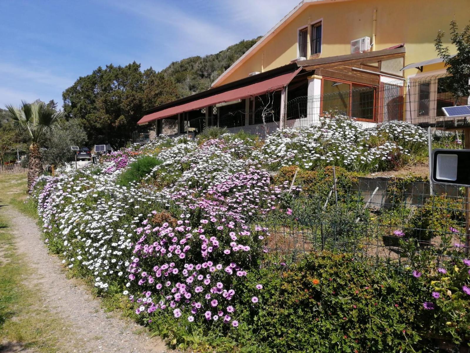 Il Lentischio Hotel Cala Sapone Eksteriør billede